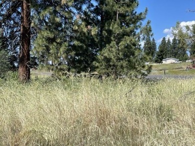 Very attractive triangular-shaped corner parcel. Has large pine - photo 8