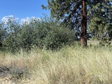 Very attractive triangular-shaped corner parcel. Has large pine - photo 9