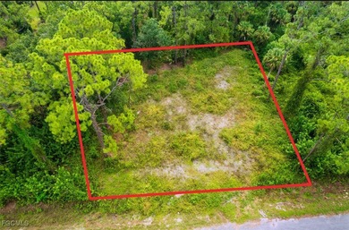 Lehigh Acres Area Lot For Sale in Lehigh Acres Florida