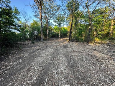 PRICE REDUCED, OWNEER WILLING TO FINANCE! Take a look at this - photo 10