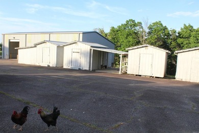 4,288 sqft Office/House, 50X90 insulated red iron shop, 2500 - photo 21