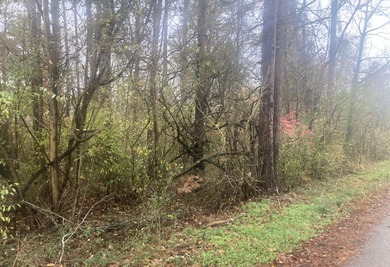 Lake Cumberland Lot For Sale in Burnside Kentucky