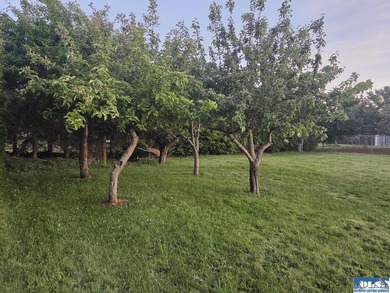 Your forever home awaits in this beautifully maintained - photo 35