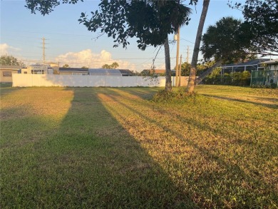 Port Charlotte Waterway Lakes Area Lot For Sale in Port Charlotte Florida