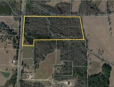 (private lake, pond, creek) Acreage For Sale in Gilmer Texas