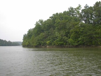 To-Die-For Private 5 Acre Lot With Loooong 180 degree Lake Views! - Lake Acreage For Sale in Pittsville, Virginia
