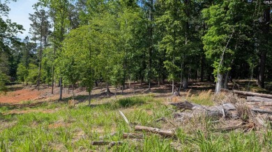 Lake Wateree Lot For Sale in Ridgeway South Carolina