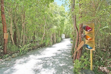 Open Oceanfront Estate with Deep Water Dockage on 1.5 Acres on - photo 15