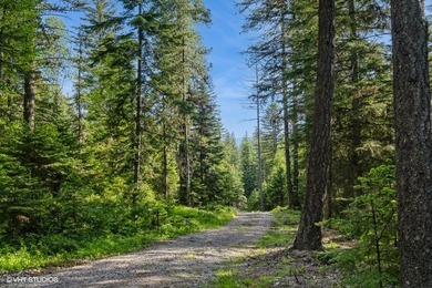 Nestled in the heart of Montana's breathtaking wilderness, this - photo 16