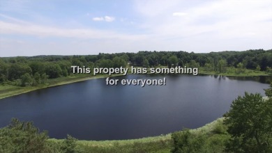 Manyard Lake Acreage For Sale in Marshall Michigan