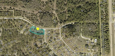 Lehigh Acres Area Lot For Sale in Alva Florida
