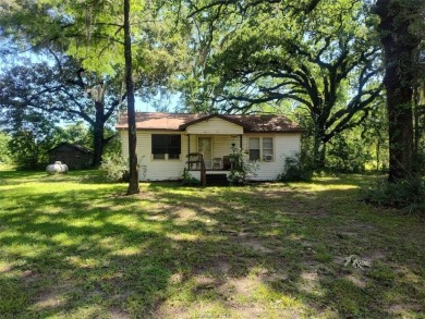 Lake Home For Sale in Other, Texas