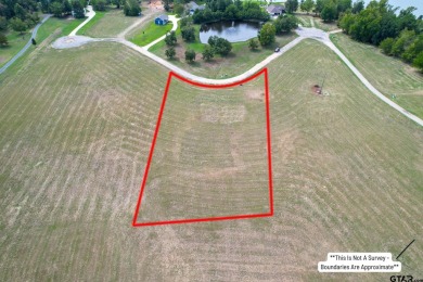 Lake Bob Sandlin Lot For Sale in Mount Pleasant Texas