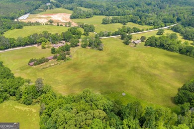 Prime Development Opportunity in Hoschton! Currently zoned Ag - photo 11