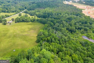 Prime Development Opportunity in Hoschton! Currently zoned Ag - photo 12