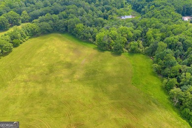 Prime Development Opportunity in Hoschton! Currently zoned Ag - photo 14