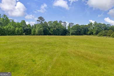 Prime Development Opportunity in Hoschton! Currently zoned Ag - photo 15