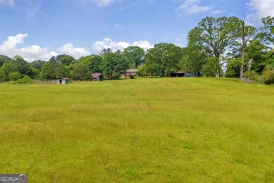Prime Development Opportunity in Hoschton! Currently zoned Ag - photo 16