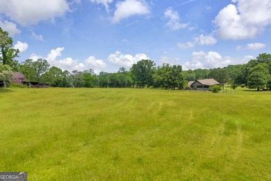 Prime Development Opportunity in Hoschton! Currently zoned Ag - photo 17