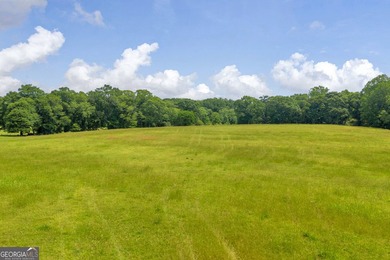 Prime Development Opportunity in Hoschton! Currently zoned Ag - photo 18