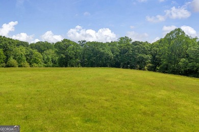 Prime Development Opportunity in Hoschton! Currently zoned Ag - photo 19