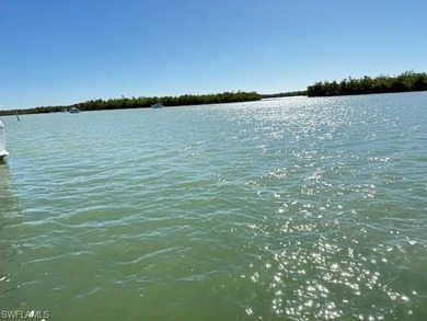 Full-time Live Aboard slip at the T-head - perfect for your cats - photo 2
