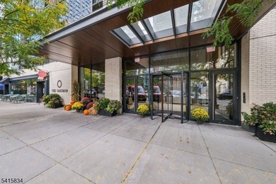 Discover sophisticated city living in this bright and spacious - photo 25