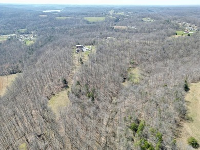 Beautiful 39+ acre farm with a spring-fed stocked pond, mature - photo 4