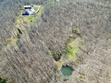 Beautiful 39+ acre farm with a spring-fed stocked pond, mature - photo 6