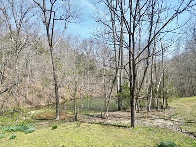 Beautiful 39+ acre farm with a spring-fed stocked pond, mature - photo 7