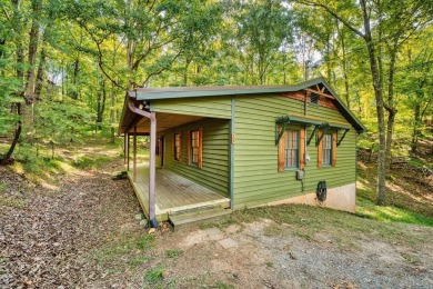 Carters Lake Home For Sale in Ellijay Georgia