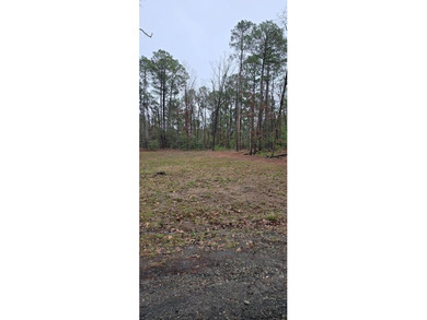 Lake Sam Rayburn  Lot For Sale in Brookeland Texas
