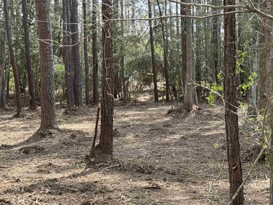 Lake Sam Rayburn  Lot For Sale in Brookeland Texas