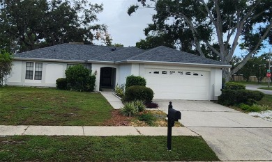 (private lake, pond, creek) Home Sale Pending in Holiday Florida