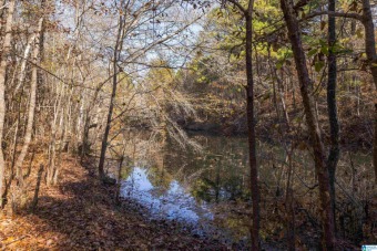 (private lake, pond, creek) Acreage For Sale in Birmingham Alabama