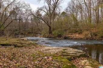 Lake Acreage Off Market in Brookside, Alabama