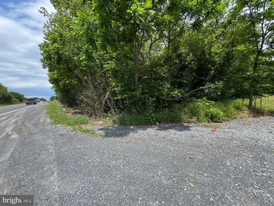 Potential business opportunity near the new bypass for whatever - photo 4