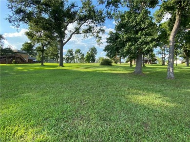 Lake Lot For Sale in Other, Texas