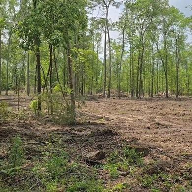 Neches River  Acreage For Sale in Spurger Texas