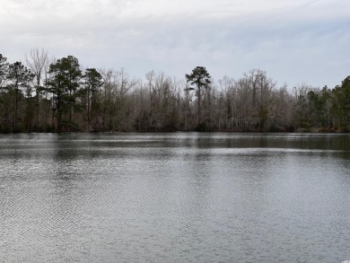 (private lake, pond, creek) Commercial For Sale in Hamer South Carolina