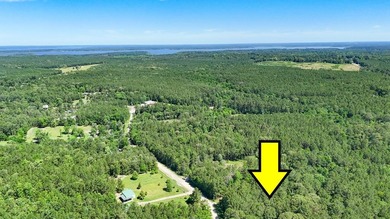 Lake Sam Rayburn  Acreage For Sale in Brookeland Texas