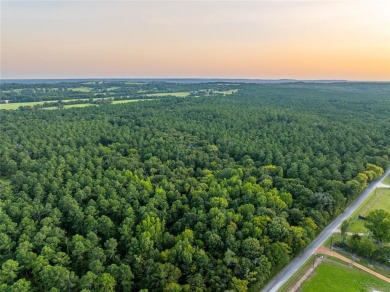 Lake Palestine Acreage For Sale in Frankston Texas