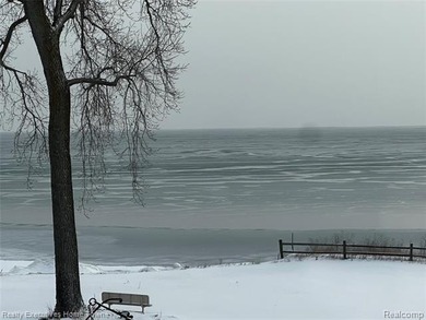 Wake up to breathtaking views of Lake Huron and step onto your - photo 41