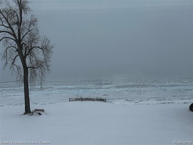 Wake up to breathtaking views of Lake Huron and step onto your - photo 47