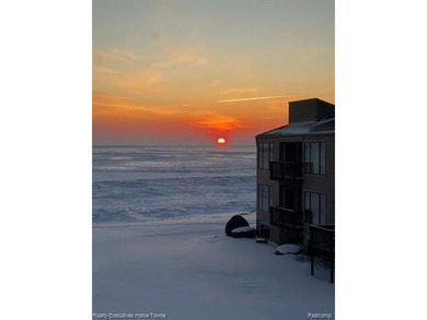Wake up to breathtaking views of Lake Huron and step onto your - photo 49