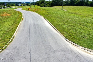 Douglas Lake Acreage For Sale in Dandridge Tennessee