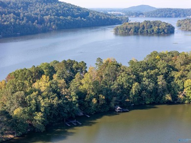 Lakefront living in a gated community on Weiss Lake! Just under - photo 3