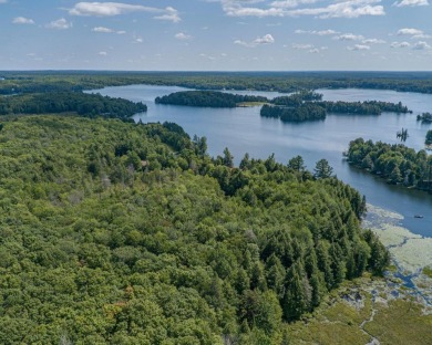 Lake Acreage Sale Pending in Watersmeet, Michigan