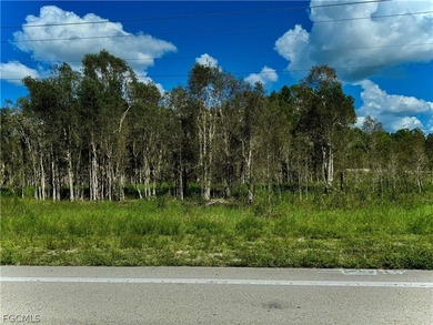 Lehigh Acres Area Lot For Sale in Lehigh Acres Florida