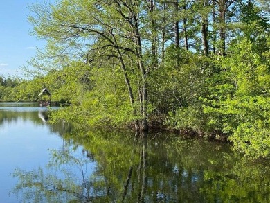 READY-TO-BUILD SINGLE FAMILY HOME LOT and PRICED TO SELL! - photo 7